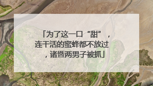为了这一口“甜”，连干活的蜜蜂都不放过，诸暨两男子被抓
