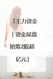 主力资金｜资金尾盘抢筹2股超亿元