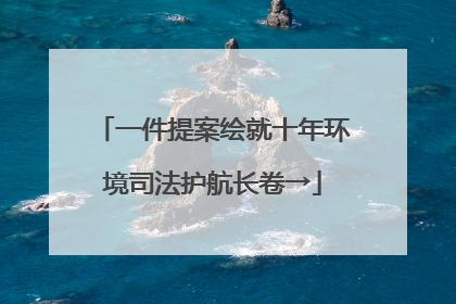 一件提案绘就十年环境司法护航长卷→