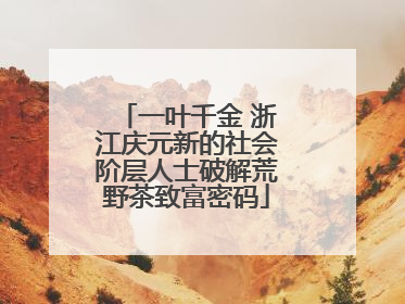 一叶千金 浙江庆元新的社会阶层人士破解荒野茶致富密码