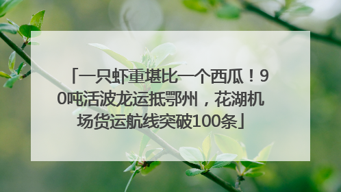 一只虾重堪比一个西瓜！90吨活波龙运抵鄂州，花湖机场货运航线突破100条