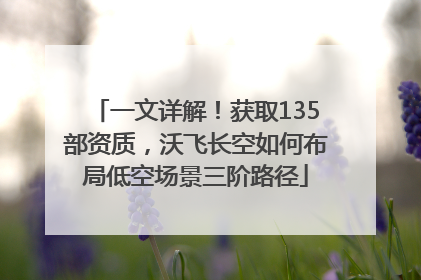 一文详解！获取135部资质，沃飞长空如何布局低空场景三阶路径
