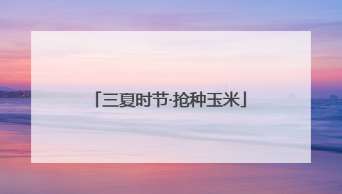 三夏时节·抢种玉米