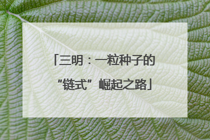 三明：一粒种子的“链式”崛起之路