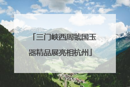 三门峡西周虢国玉器精品展亮相杭州