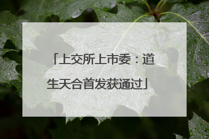 上交所上市委：道生天合首发获通过