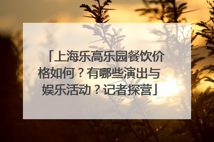 上海乐高乐园餐饮价格如何？有哪些演出与娱乐活动？记者探营