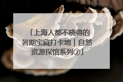 上海人都不晓得的 暑期宝藏打卡地｜自然资源探馆系列②