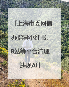 上海市委网信办指导小红书、B站等平台清理违规AI