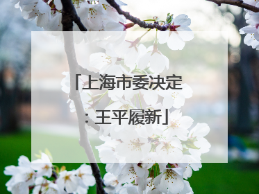 上海市委决定：王平履新