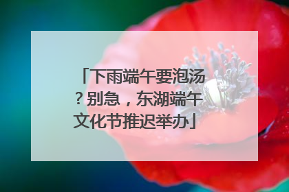 下雨端午要泡汤？别急，东湖端午文化节推迟举办