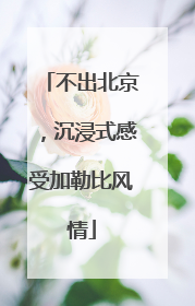 不出北京，沉浸式感受加勒比风情