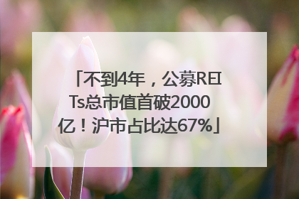 不到4年，公募REITs总市值首破2000亿！沪市占比达67%