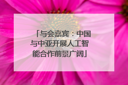 与会嘉宾：中国与中亚开展人工智能合作前景广阔