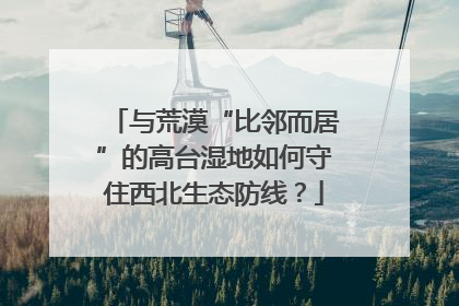 与荒漠“比邻而居”的高台湿地如何守住西北生态防线？