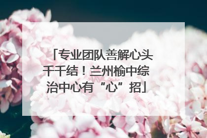 专业团队善解心头千千结！兰州榆中综治中心有“心”招