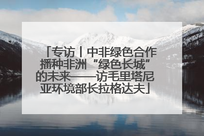 专访丨中非绿色合作播种非洲“绿色长城”的未来——访毛里塔尼亚环境部长拉格达夫