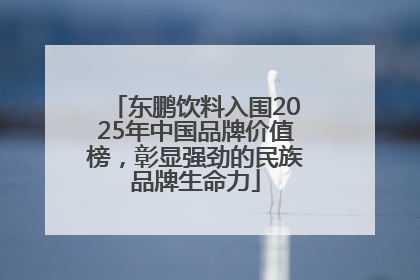 东鹏饮料入围2025年中国品牌价值榜，彰显强劲的民族品牌生命力
