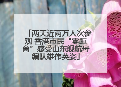 两天近两万人次参观 香港市民“零距离”感受山东舰航母编队雄伟英姿