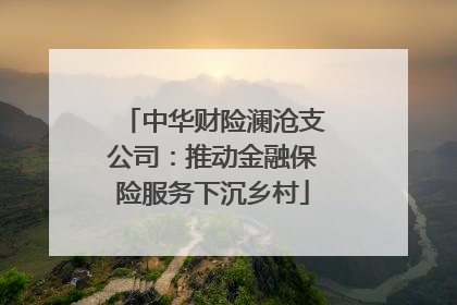 中华财险澜沧支公司：推动金融保险服务下沉乡村