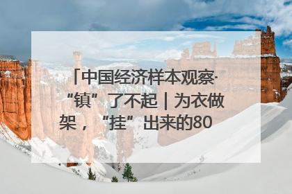 中国经济样本观察·“镇”了不起｜为衣做架，“挂”出来的80亿元“衣架产业”