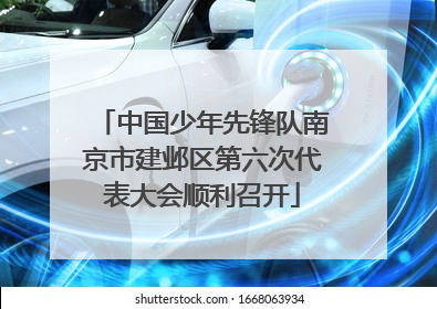 中国少年先锋队南京市建邺区第六次代表大会顺利召开