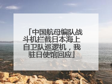 中国航母编队战斗机拦截日本海上自卫队巡逻机，我驻日使馆回应