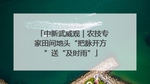 中新武威观｜农技专家田间地头“把脉开方”送“及时雨”