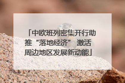 中欧班列密集开行助推“落地经济” 激活周边地区发展新动能