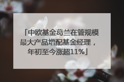 中欧基金葛兰在管规模最大产品增配基金经理，年初至今涨超11%
