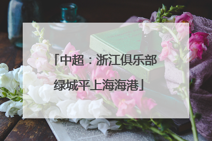 中超：浙江俱乐部绿城平上海海港