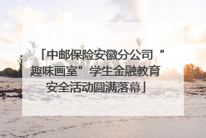 中邮保险安徽分公司“趣味画室”学生金融教育安全活动圆满落幕