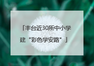丰台近30所中小学建“彩色学安路”