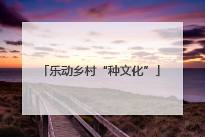 乐动乡村“种文化”