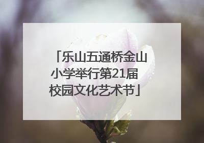 乐山五通桥金山小学举行第21届校园文化艺术节