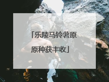 乐陵马铃薯原原种获丰收