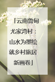 云南鲁甸尤家湾村：山水为墨绘就乡村旅居新画卷