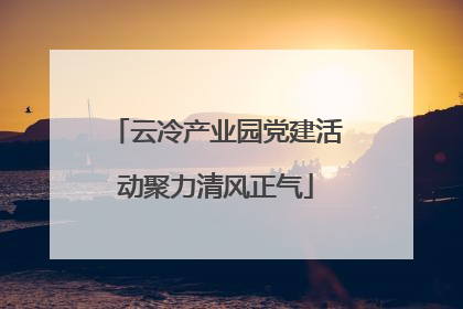 云冷产业园党建活动聚力清风正气