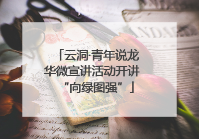 云洞·青年说龙华微宣讲活动开讲“向绿图强”