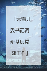 云霄县委书记调研基层党建工作