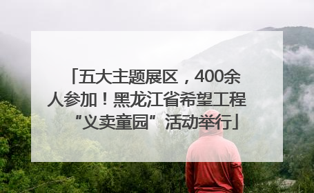五大主题展区，400余人参加！黑龙江省希望工程“义卖童园”活动举行