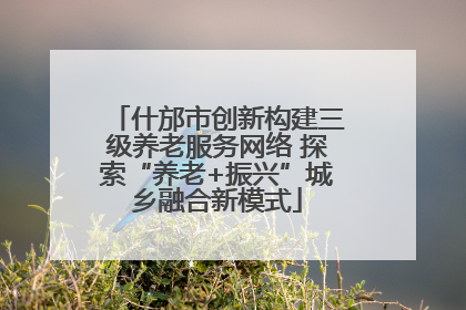 什邡市创新构建三级养老服务网络 探索“养老+振兴”城乡融合新模式