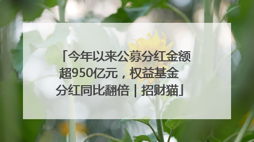 今年以来公募分红金额超950亿元，权益基金分红同比翻倍｜招财猫