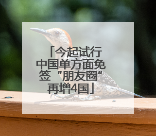 今起试行 中国单方面免签“朋友圈”再增4国