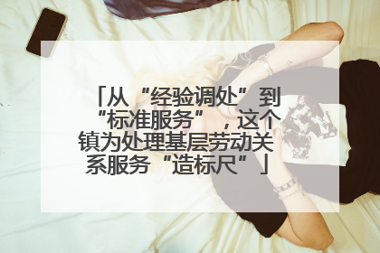 从“经验调处”到“标准服务”，这个镇为处理基层劳动关系服务“造标尺”