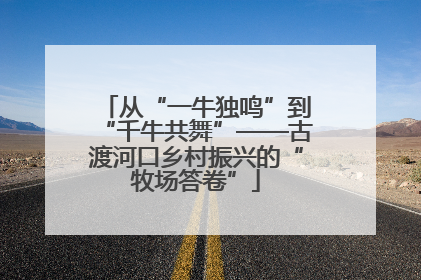 从“一牛独鸣”到“千牛共舞”——古渡河口乡村振兴的“牧场答卷”