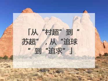 从“村超”到“苏超”，从“追球”到“追求”
