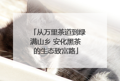 从万里茶道到绿满山乡 安化黑茶的生态致富路