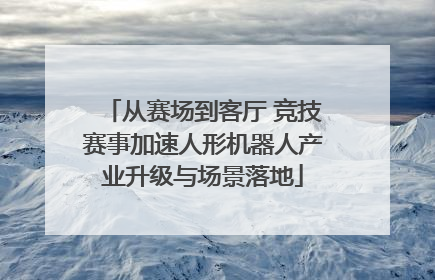 从赛场到客厅 竞技赛事加速人形机器人产业升级与场景落地