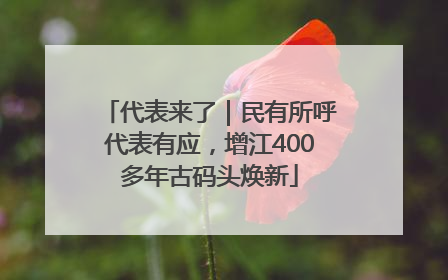 代表来了｜民有所呼代表有应，增江400多年古码头焕新